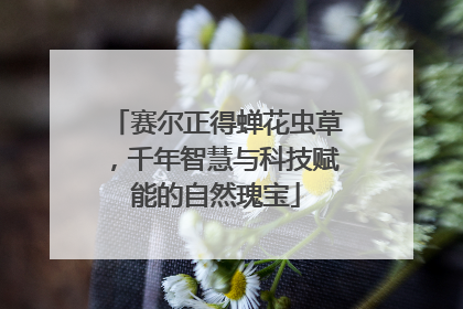 赛尔正得蝉花虫草，千年智慧与科技赋能的自然瑰宝